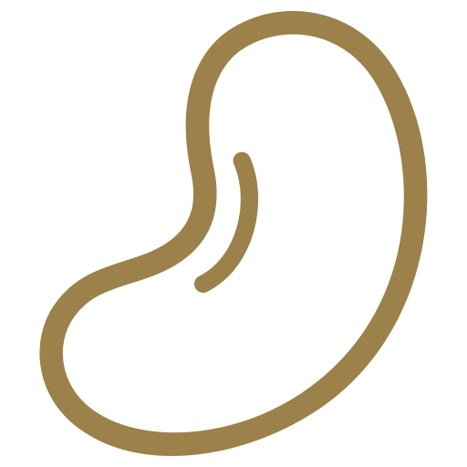 cashew